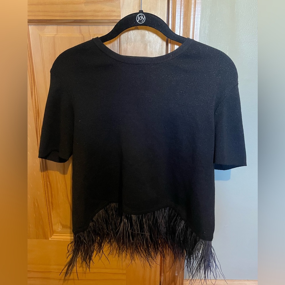 Zara Short Sleeve Shimmery Sweater with Feathered Bottom